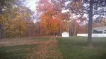 Fall Leaves on Lawn 2