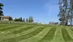 Lawn Stripes NEPA