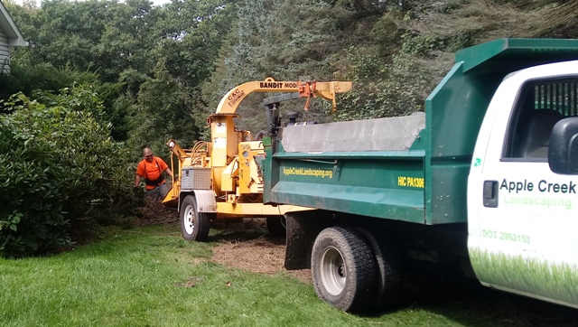 Tree limb and brush chipping - Apple Creek