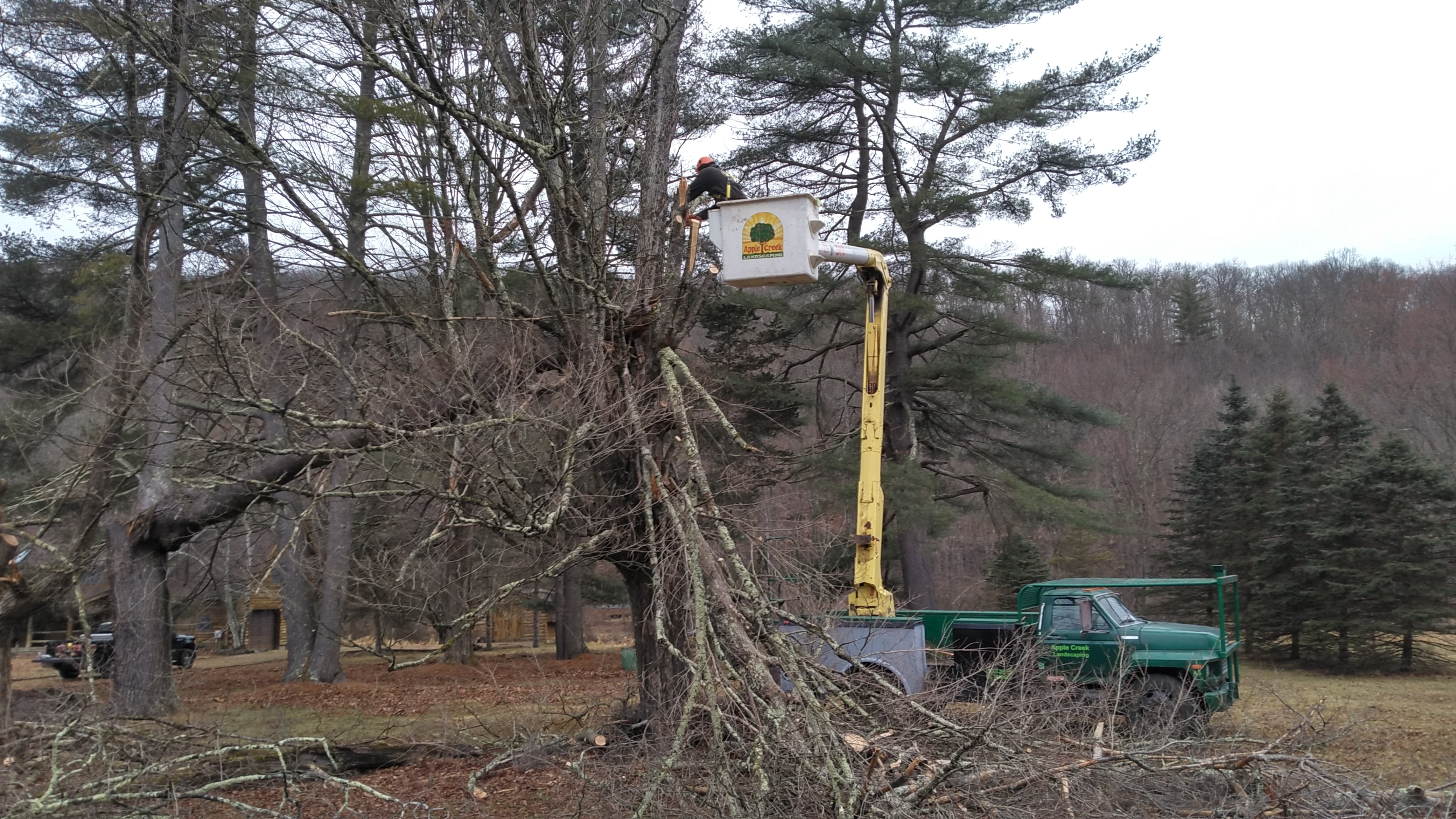 Storm Damaged Tree Removal