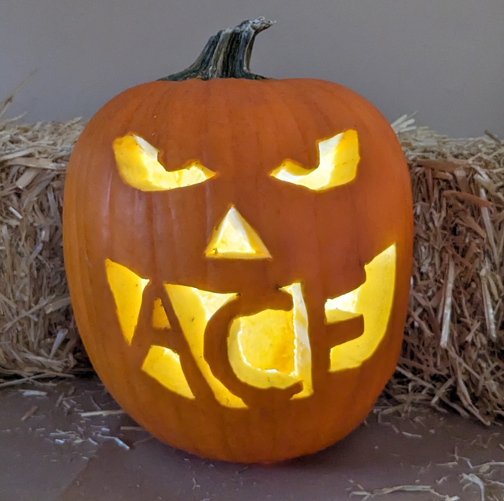 Pumpkin4