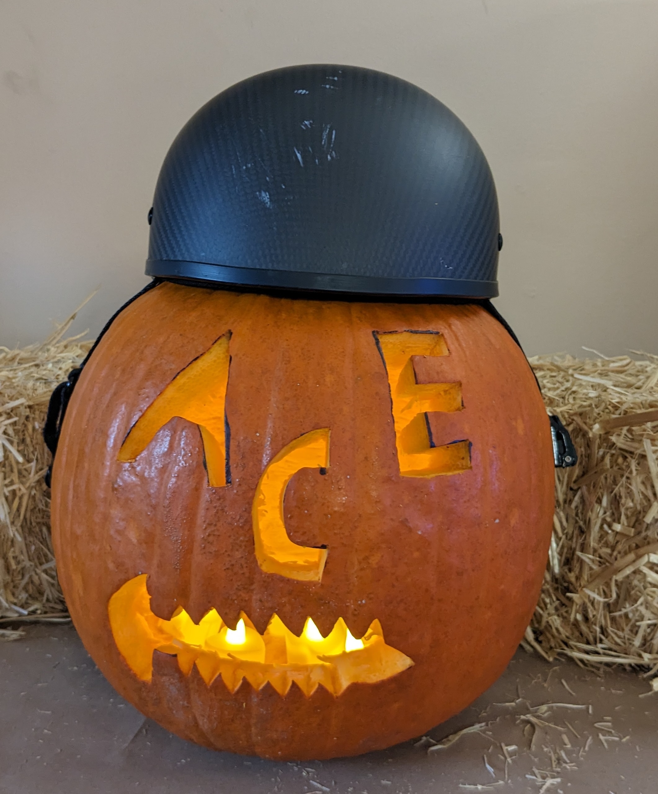 Pumpkin5