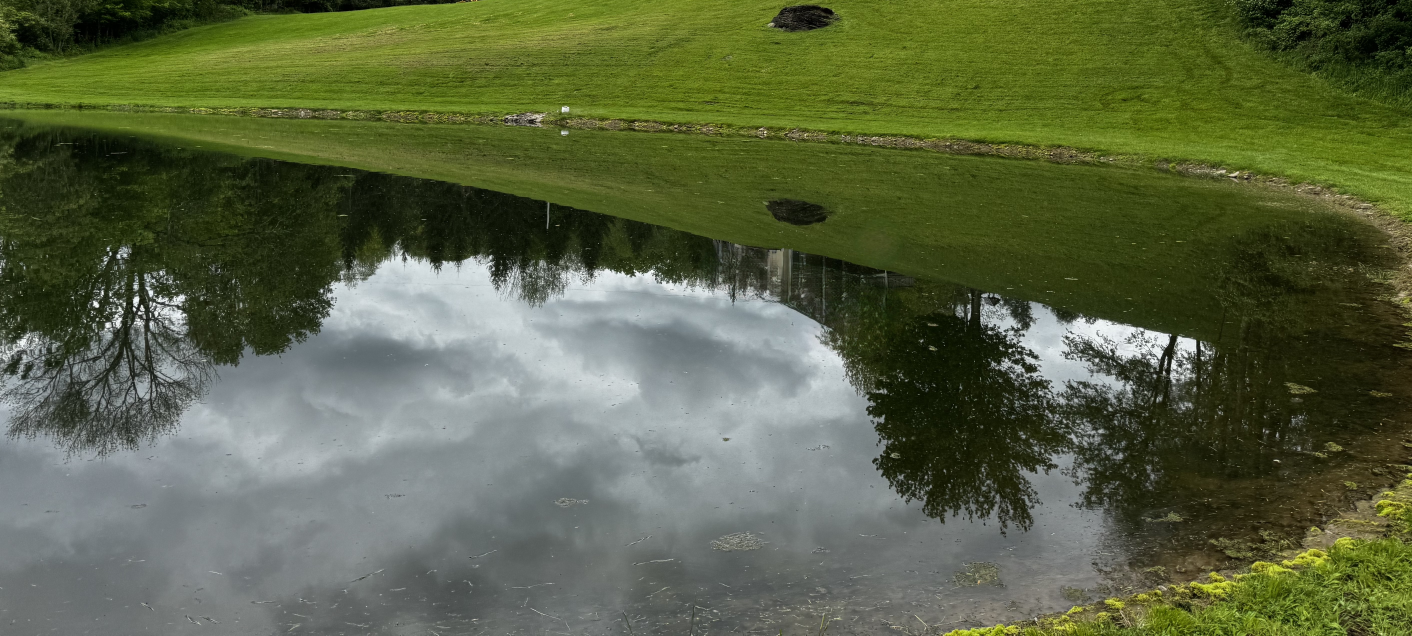 Pond