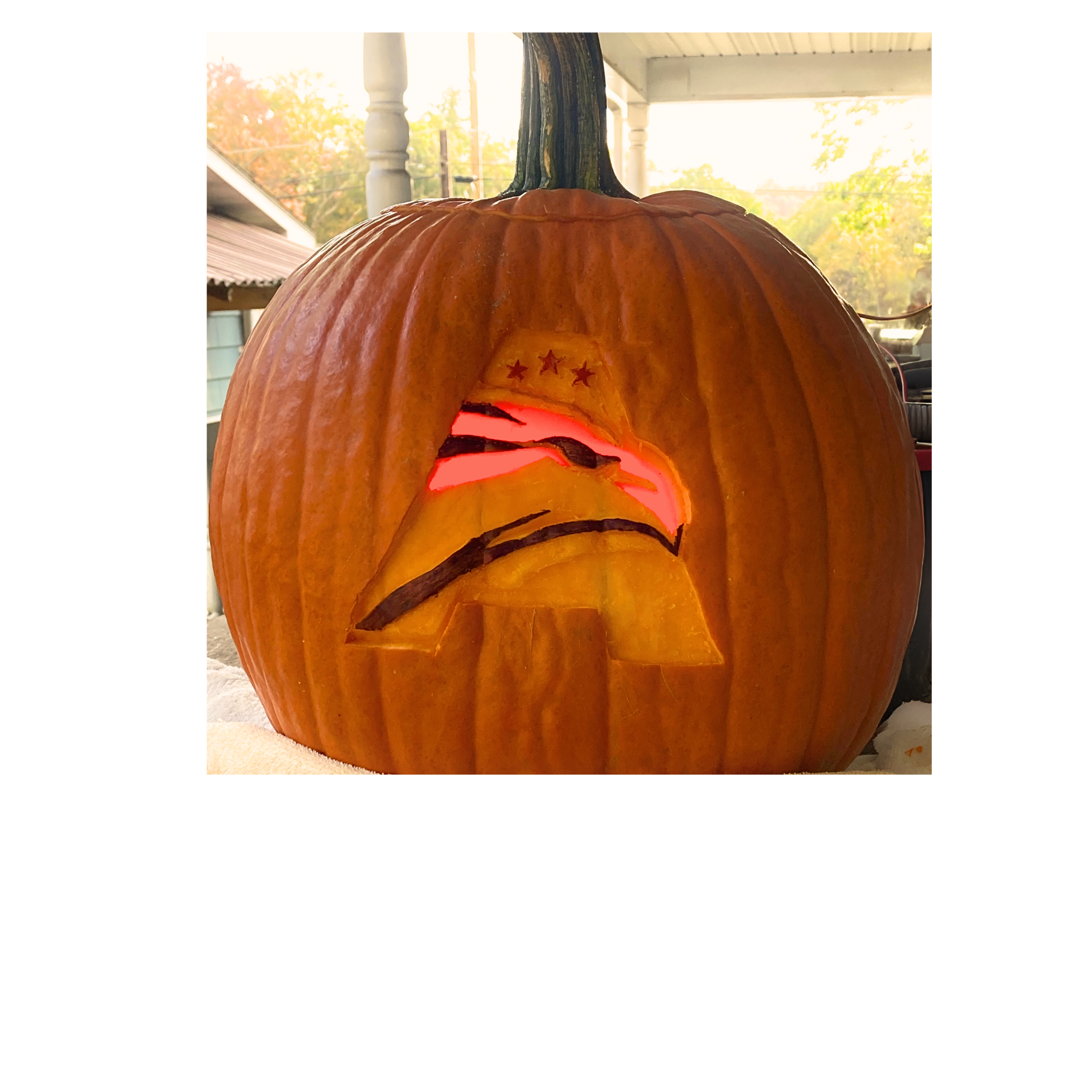 Pumpkin3