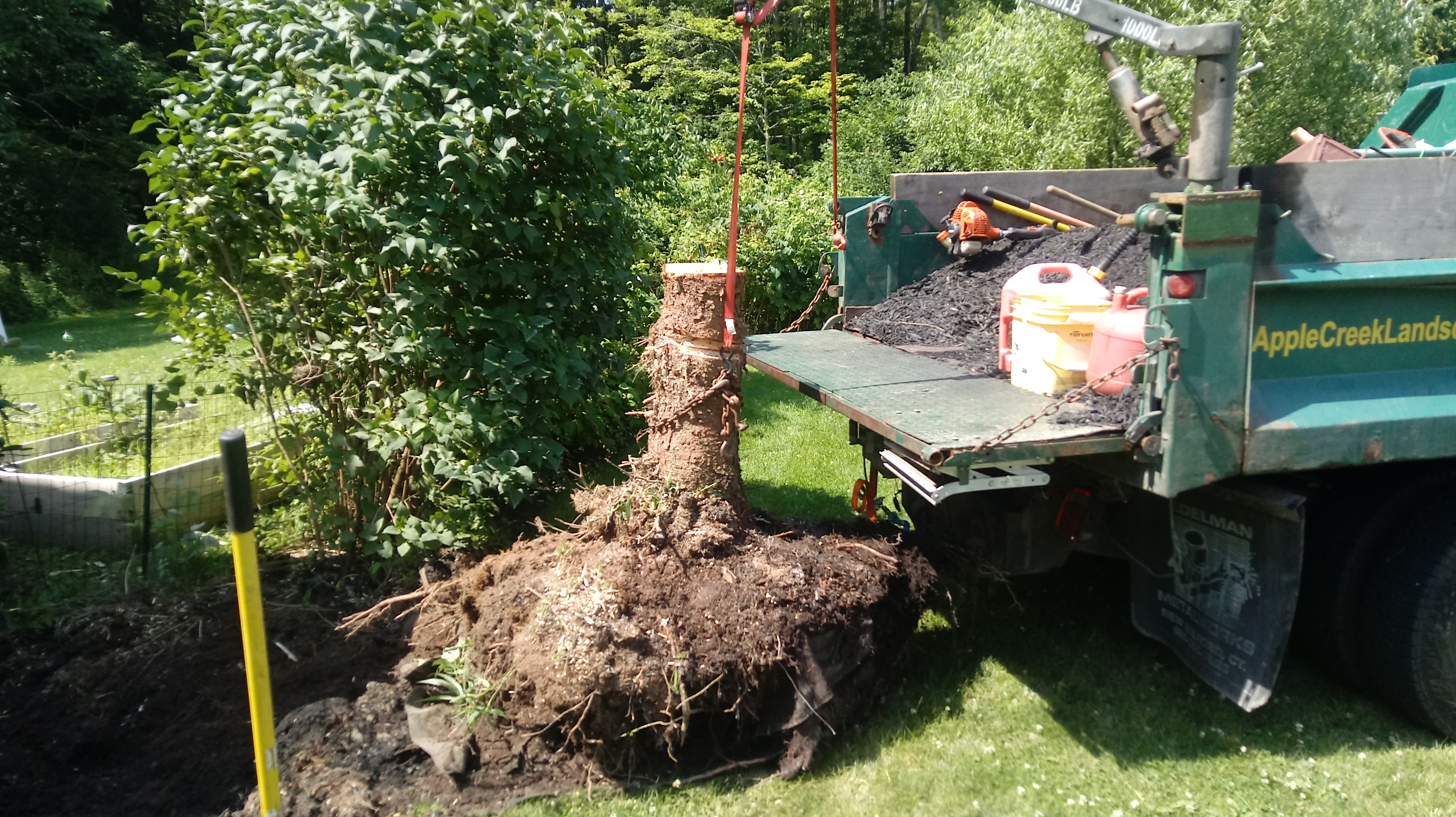 Stump Removal