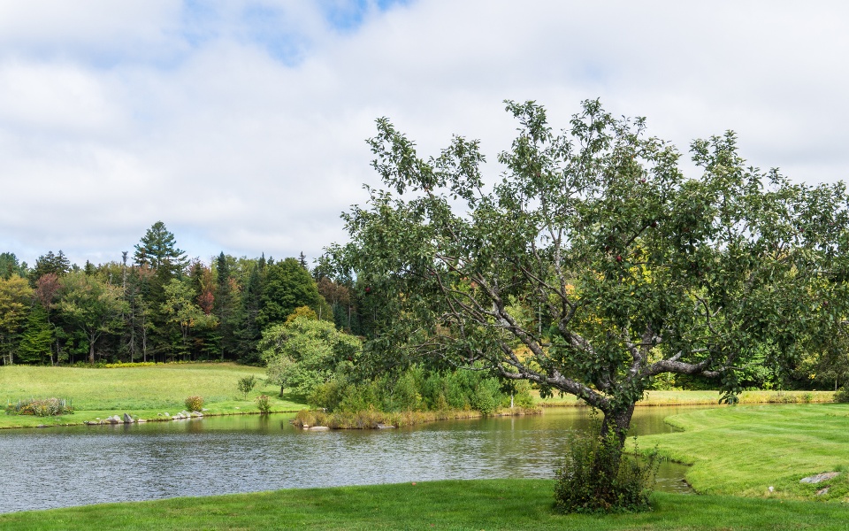 Apple Creek Landscaping