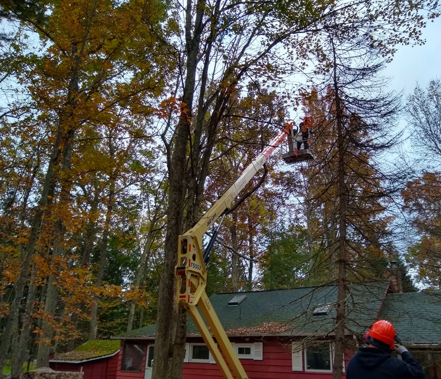 Tree Removal from a Lift by Apple Creek Landscaping