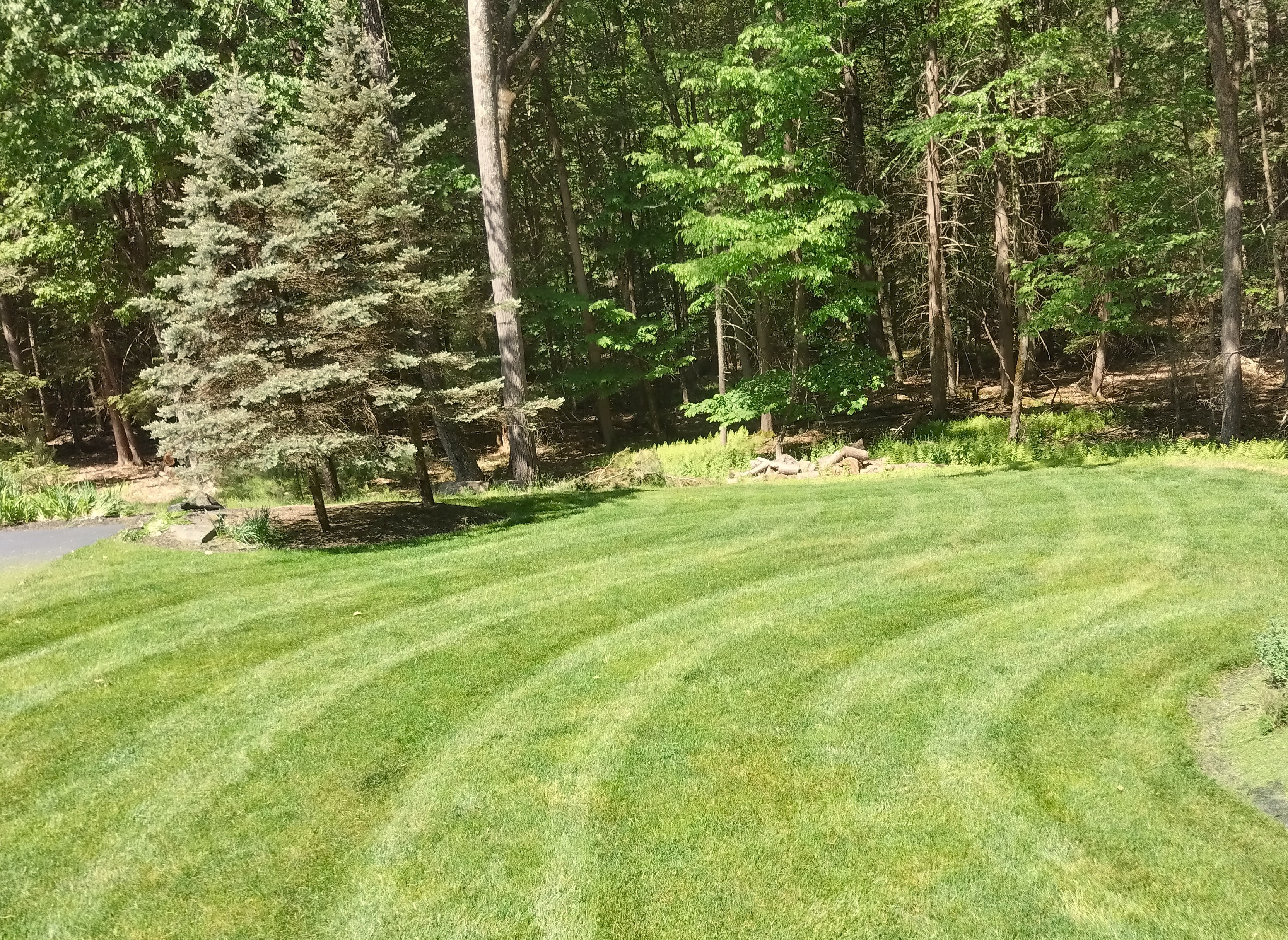 Lawn Stripes
